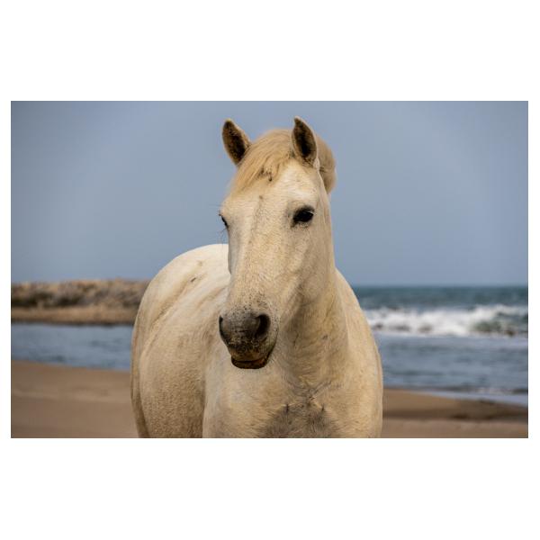 PHOTO84, CLUB, 84 , LUBERON