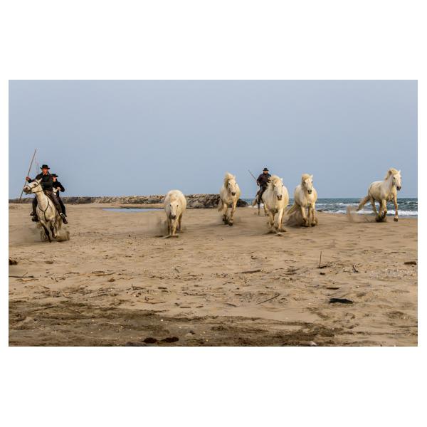 PHOTO84, CLUB, 84 , LUBERON