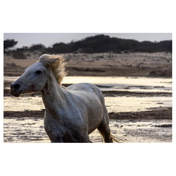 PHOTO84, CLUB, 84 , LUBERON