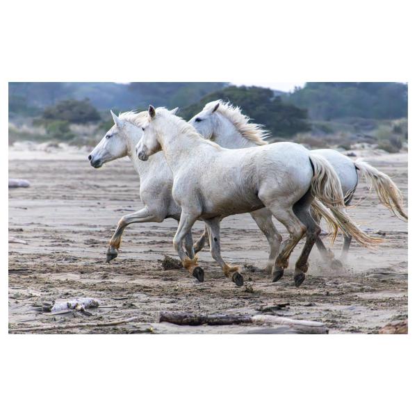 PHOTO84, CLUB, 84 , LUBERON