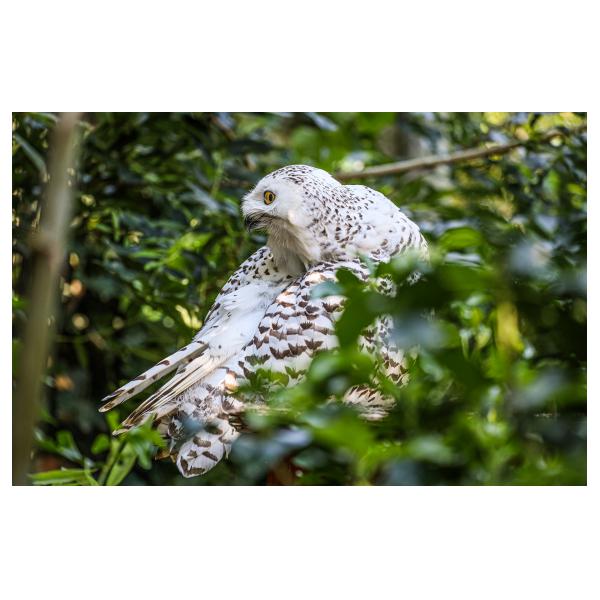 PHOTO84, CLUB, 84 , LUBERON