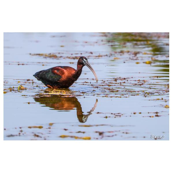 PHOTO84, CLUB, 84 , LUBERON