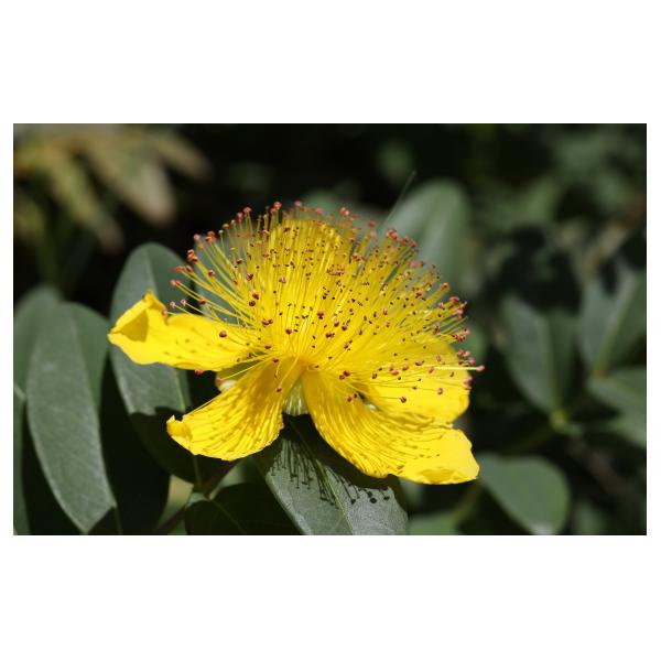 PHOTO84, CLUB, 84 , LUBERON