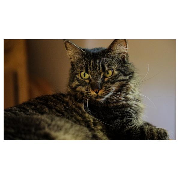 PHOTO84, CLUB, 84 , LUBERON