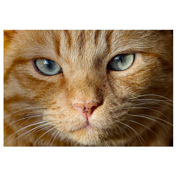 PHOTO84, CLUB, 84 , LUBERON