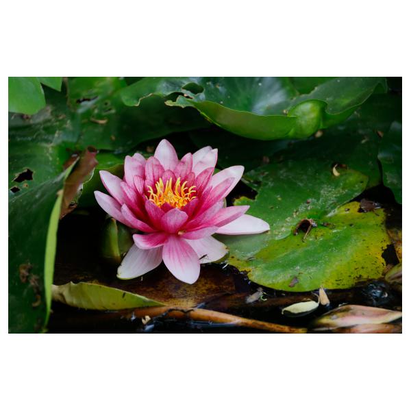 PHOTO84, CLUB, 84 , LUBERON