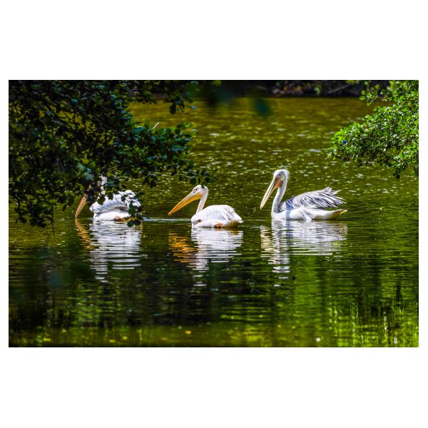 PHOTO84, CLUB, 84 , LUBERON