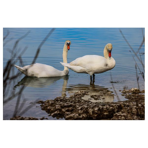 PHOTO84, CLUB, 84 , LUBERON