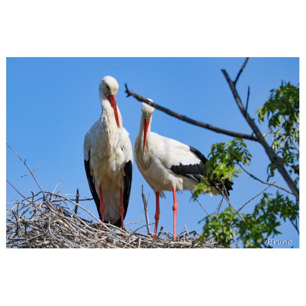 PHOTO84, CLUB, 84 , LUBERON