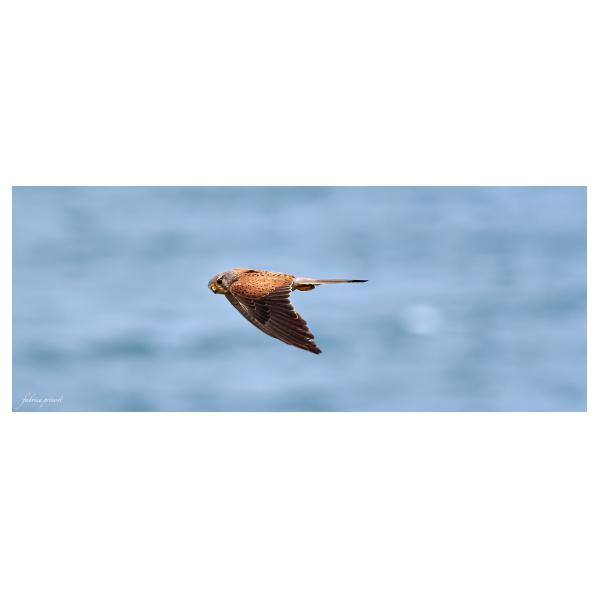 PHOTO84, CLUB, 84 , LUBERON