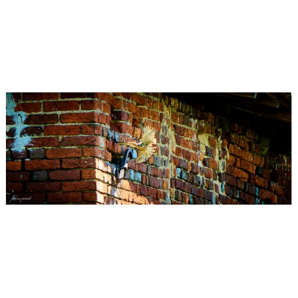 PHOTO84, CLUB, 84 , LUBERON