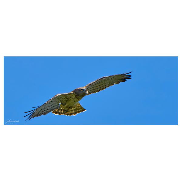 PHOTO84, CLUB, 84 , LUBERON