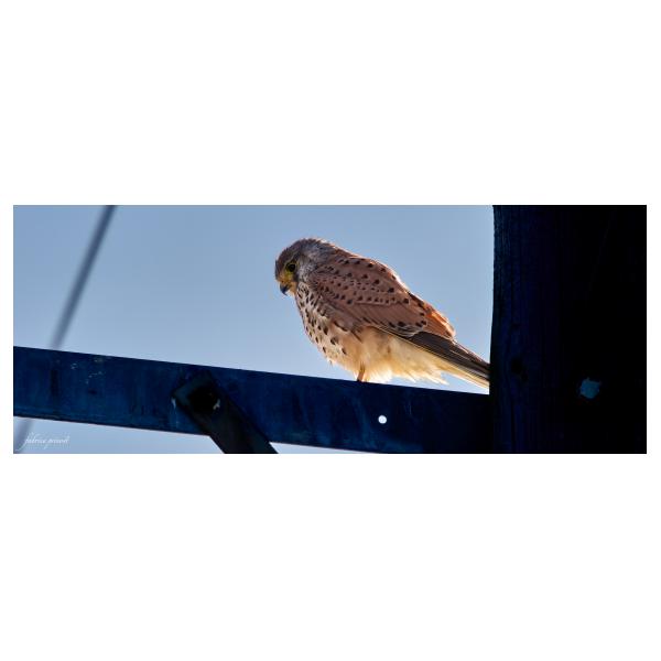 PHOTO84, CLUB, 84 , LUBERON