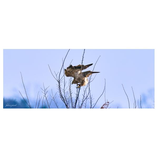 PHOTO84, CLUB, 84 , LUBERON