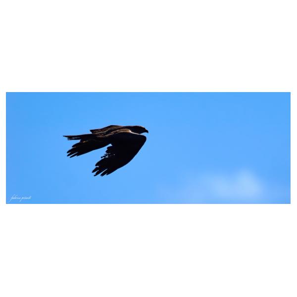 PHOTO84, CLUB, 84 , LUBERON