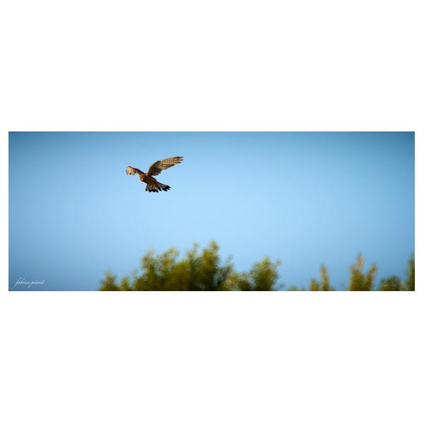 PHOTO84, CLUB, 84 , LUBERON