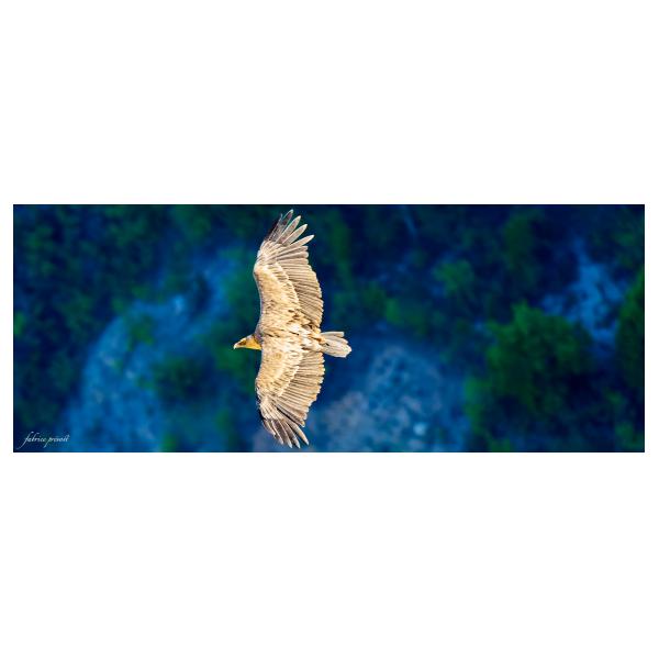 PHOTO84, CLUB, 84 , LUBERON