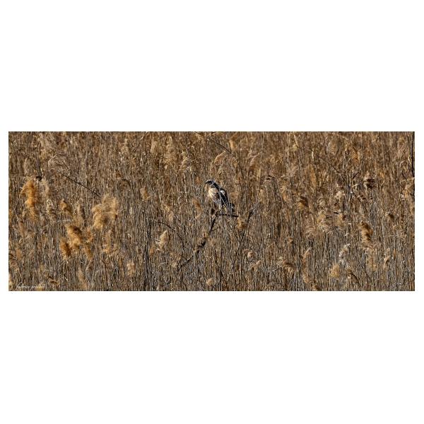 PHOTO84, CLUB, 84 , LUBERON