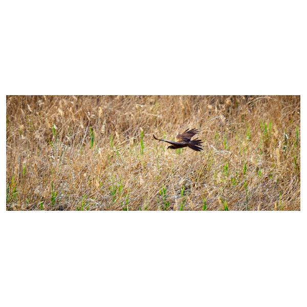 PHOTO84, CLUB, 84 , LUBERON