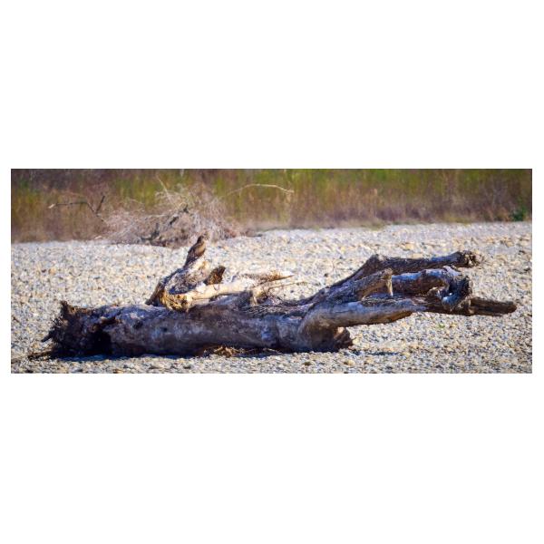 PHOTO84, CLUB, 84 , LUBERON