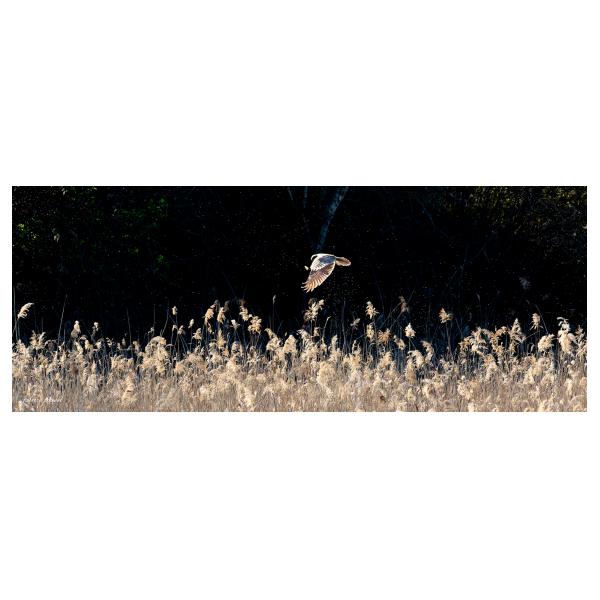 PHOTO84, CLUB, 84 , LUBERON