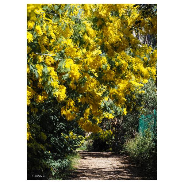 PHOTO84, CLUB, 84 , LUBERON