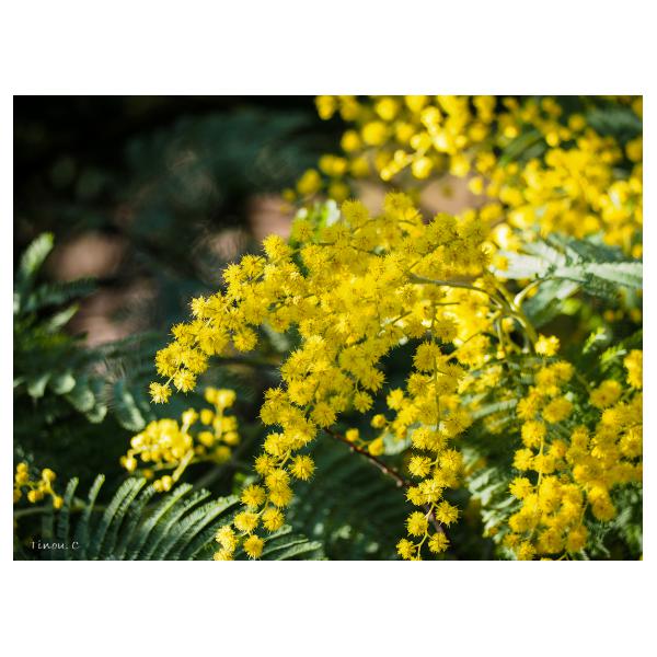 PHOTO84, CLUB, 84 , LUBERON