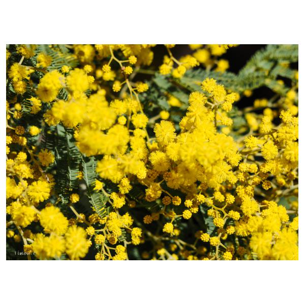 PHOTO84, CLUB, 84 , LUBERON