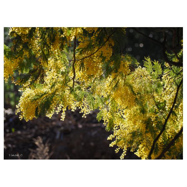 PHOTO84, CLUB, 84 , LUBERON