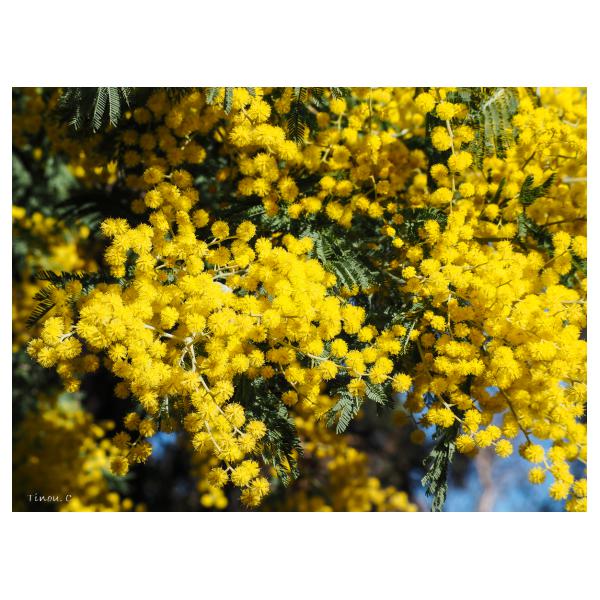 PHOTO84, CLUB, 84 , LUBERON