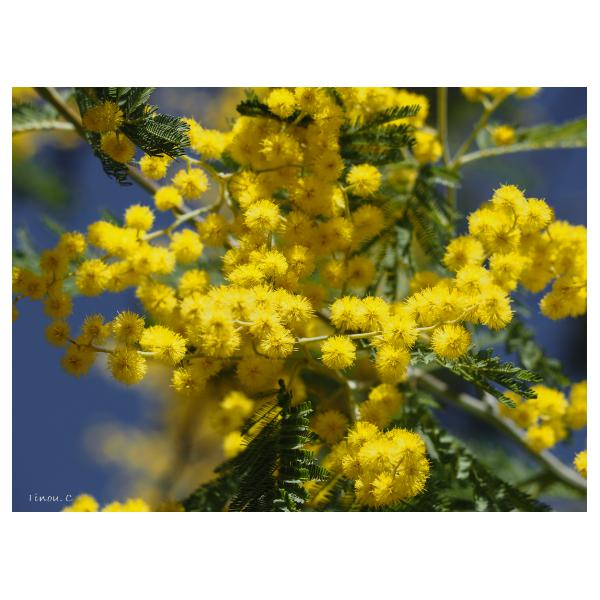 PHOTO84, CLUB, 84 , LUBERON