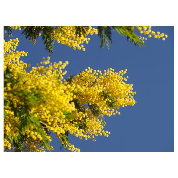 PHOTO84, CLUB, 84 , LUBERON