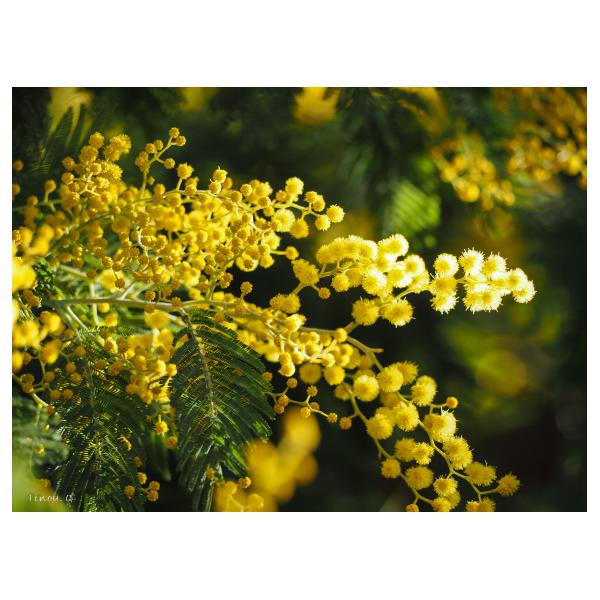 PHOTO84, CLUB, 84 , LUBERON