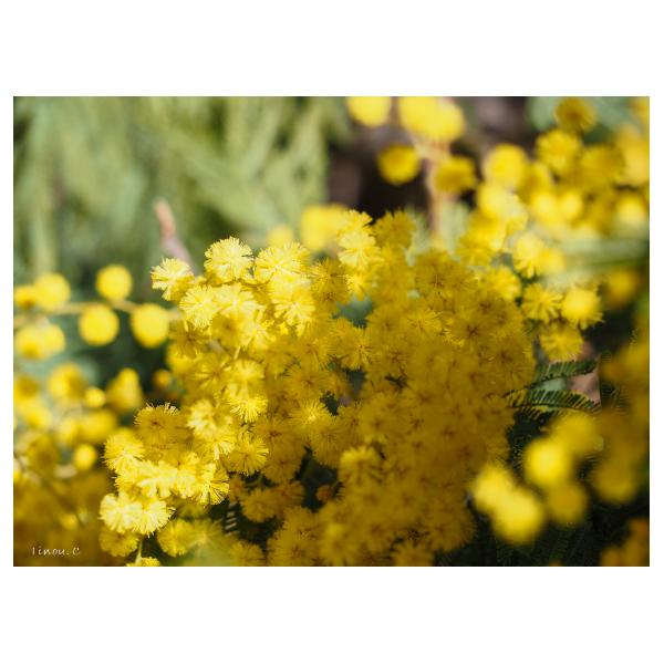 PHOTO84, CLUB, 84 , LUBERON