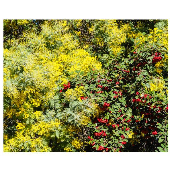 PHOTO84, CLUB, 84 , LUBERON