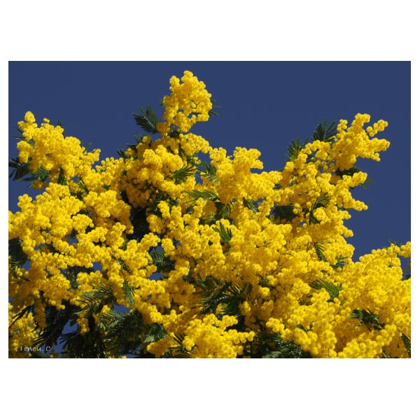 PHOTO84, CLUB, 84 , LUBERON