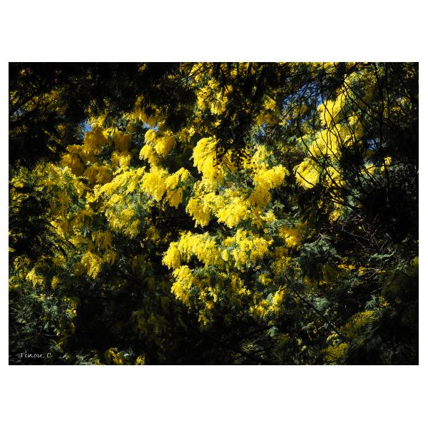 PHOTO84, CLUB, 84 , LUBERON