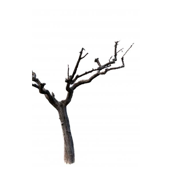 PHOTO84, CLUB, 84 , LUBERON