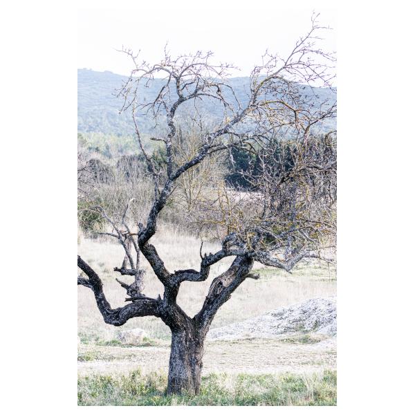 PHOTO84, CLUB, 84 , LUBERON