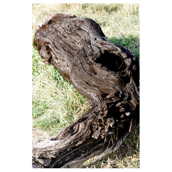 PHOTO84, CLUB, 84 , LUBERON