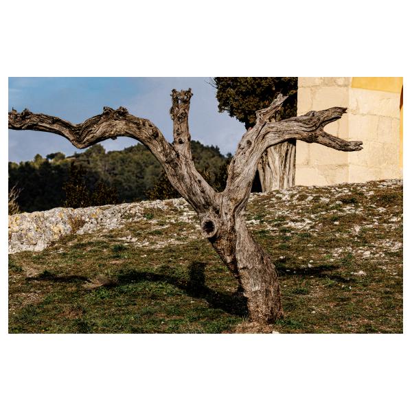 PHOTO84, CLUB, 84 , LUBERON