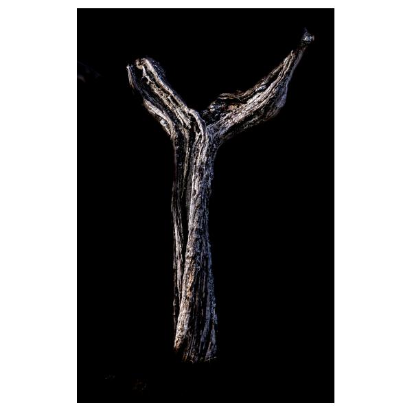 PHOTO84, CLUB, 84 , LUBERON