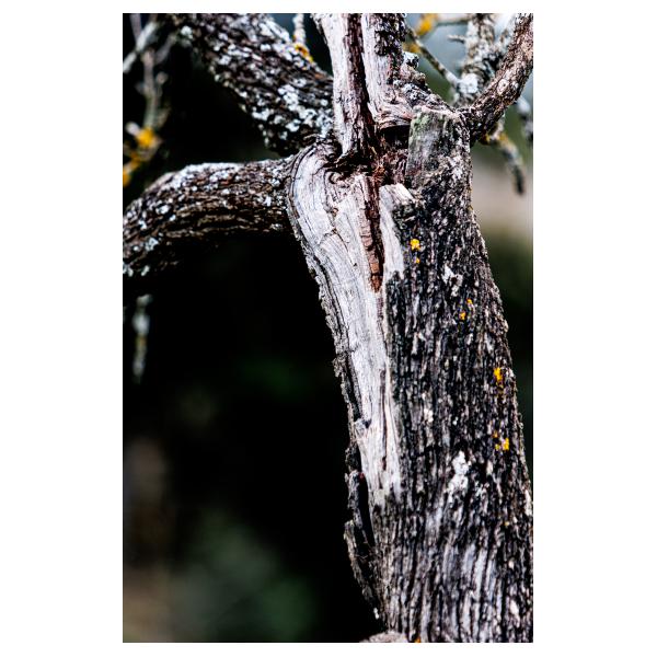 PHOTO84, CLUB, 84 , LUBERON