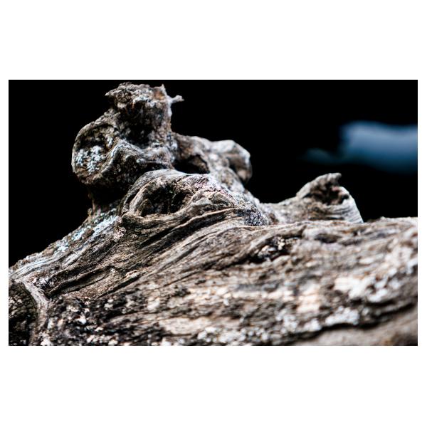 PHOTO84, CLUB, 84 , LUBERON