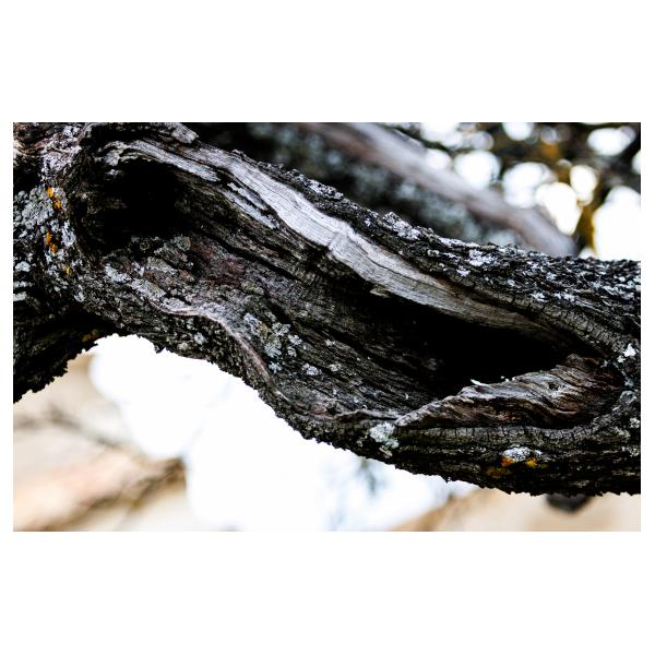 PHOTO84, CLUB, 84 , LUBERON