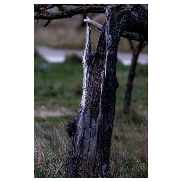 PHOTO84, CLUB, 84 , LUBERON