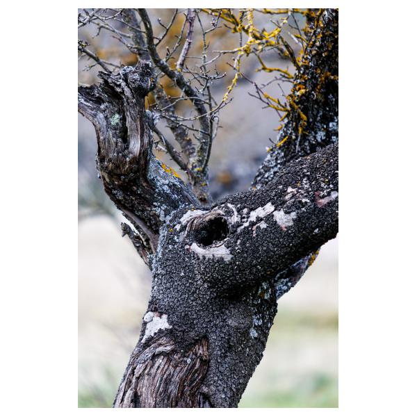 PHOTO84, CLUB, 84 , LUBERON