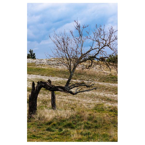 PHOTO84, CLUB, 84 , LUBERON