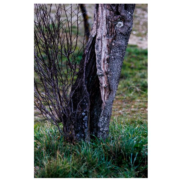 PHOTO84, CLUB, 84 , LUBERON