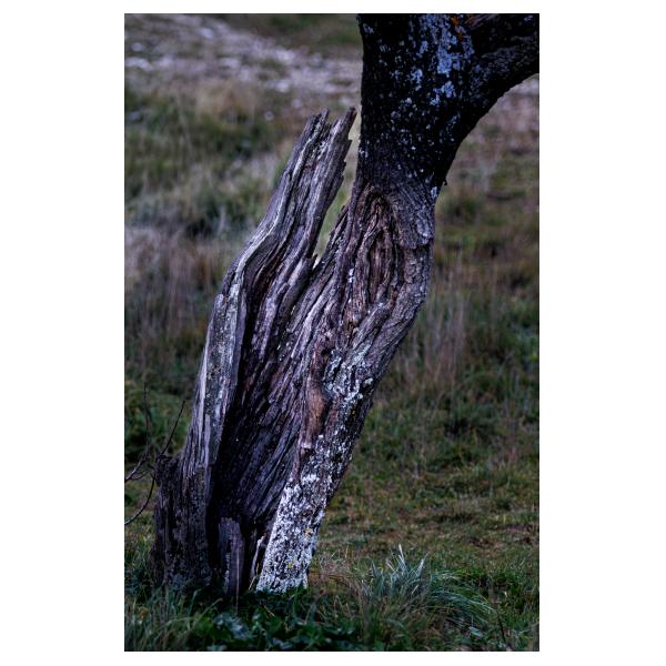 PHOTO84, CLUB, 84 , LUBERON